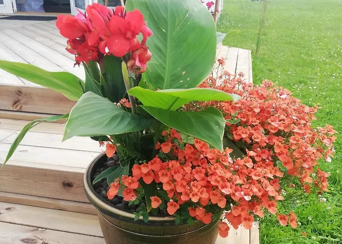 Elo Kuelalismaja Casa de Férias Kuressaare